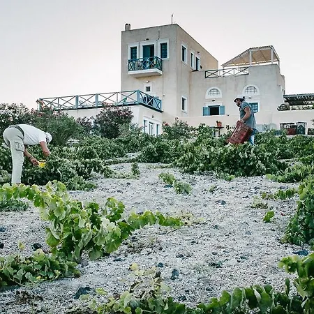 Santo Blue Santorini Caldera View Luxury