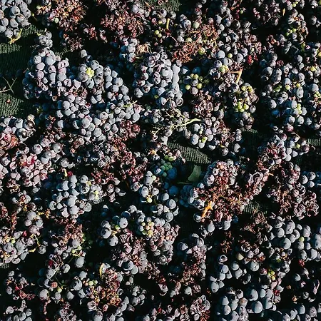 Santo Blue Santorini Caldera View Luxury