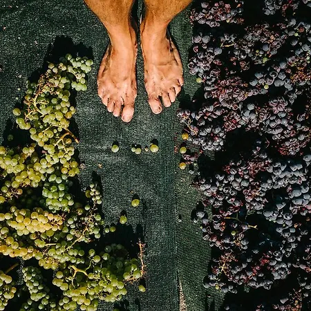 Aparthotel Santo Blue Santorini Caldera View Luxury 3*