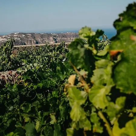 Santo Blue Santorini Caldera View Luxury Megalochori (Santorini)