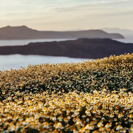 Aparthotel Santo Blue Santorini Caldera View Luxury
