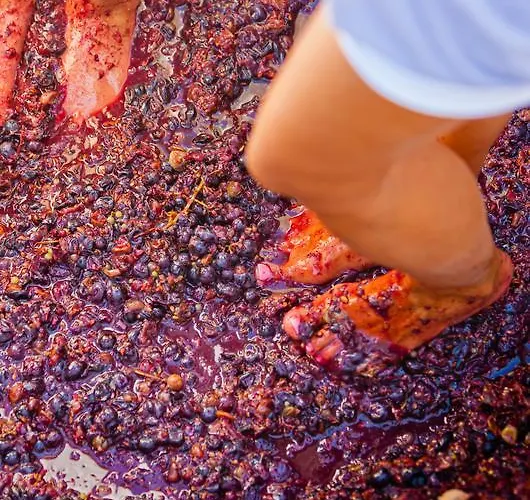 Santo Blue Santorini Caldera View Luxury Megalochori (Santorini)