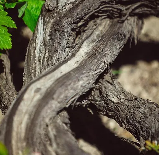 Lejlighedshotel Santo Blue Santorini Caldera View Luxury