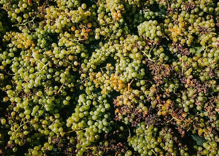 Lejlighedshotel Santo Blue Santorini Caldera View Luxury