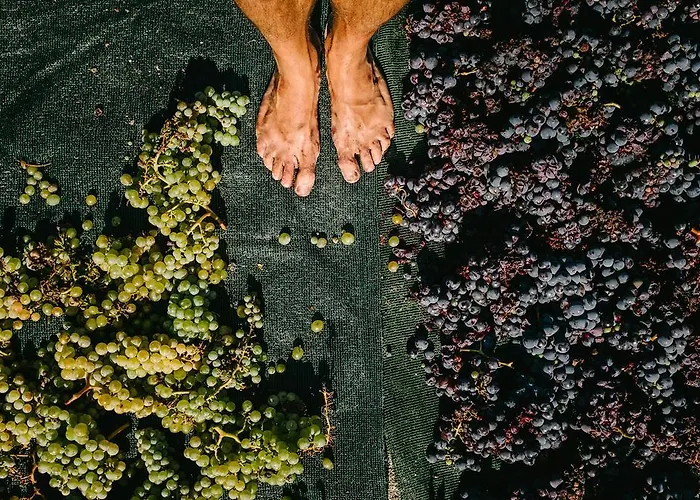 Lejlighedshotel Santo Blue Santorini Caldera View Luxury 3*