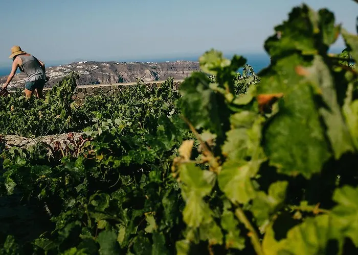 Santo Blue Santorini Caldera View Luxury Megalochori (Santorini)