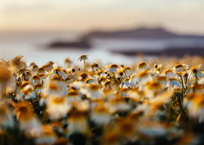 Lejlighedshotel Santo Blue Santorini Caldera View Luxury