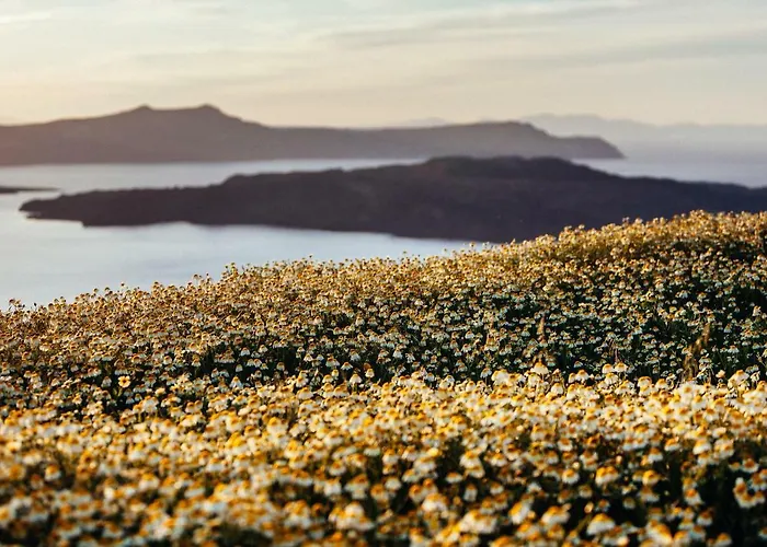 Lejlighedshotel Santo Blue Santorini Caldera View Luxury