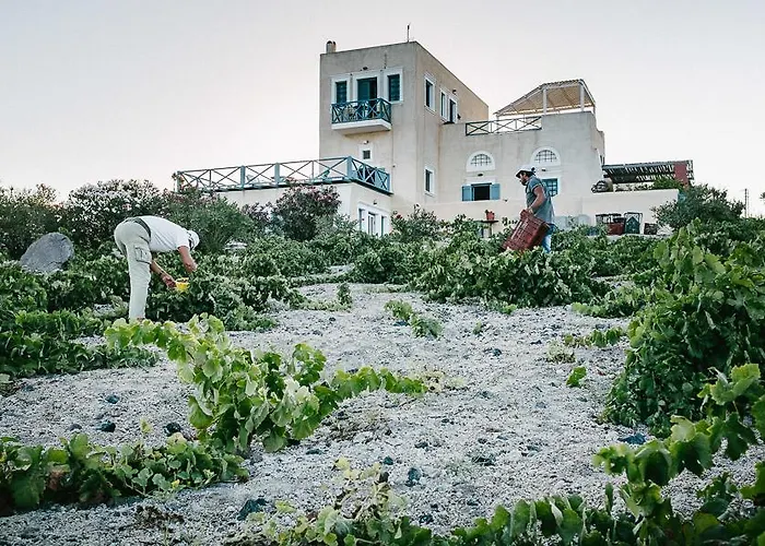 Santo Blue Santorini Caldera View Luxury